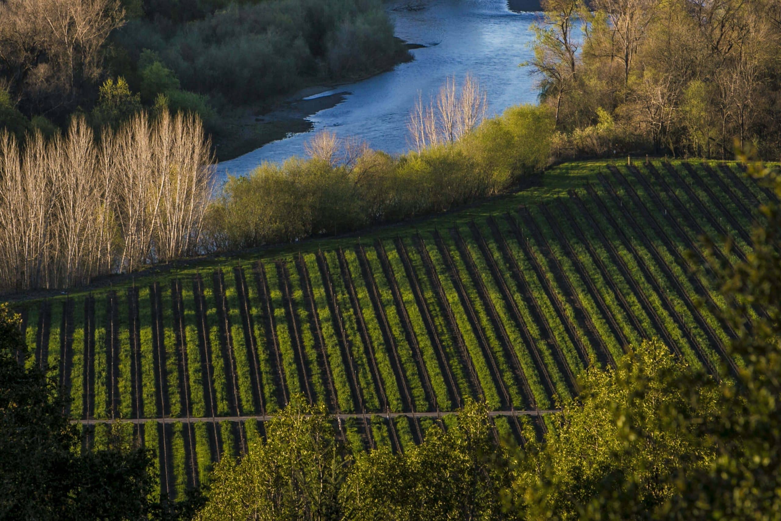 Russian River Valley Photo 2
