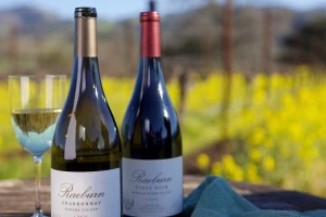 Celebrating a Decade of Excellence:<br>Raeburn Winery’s 10th Harvest